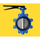 Butterfly Valve Lever operation Cast iron 2